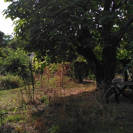 Villa Lulu Mérignac Kültér fotó