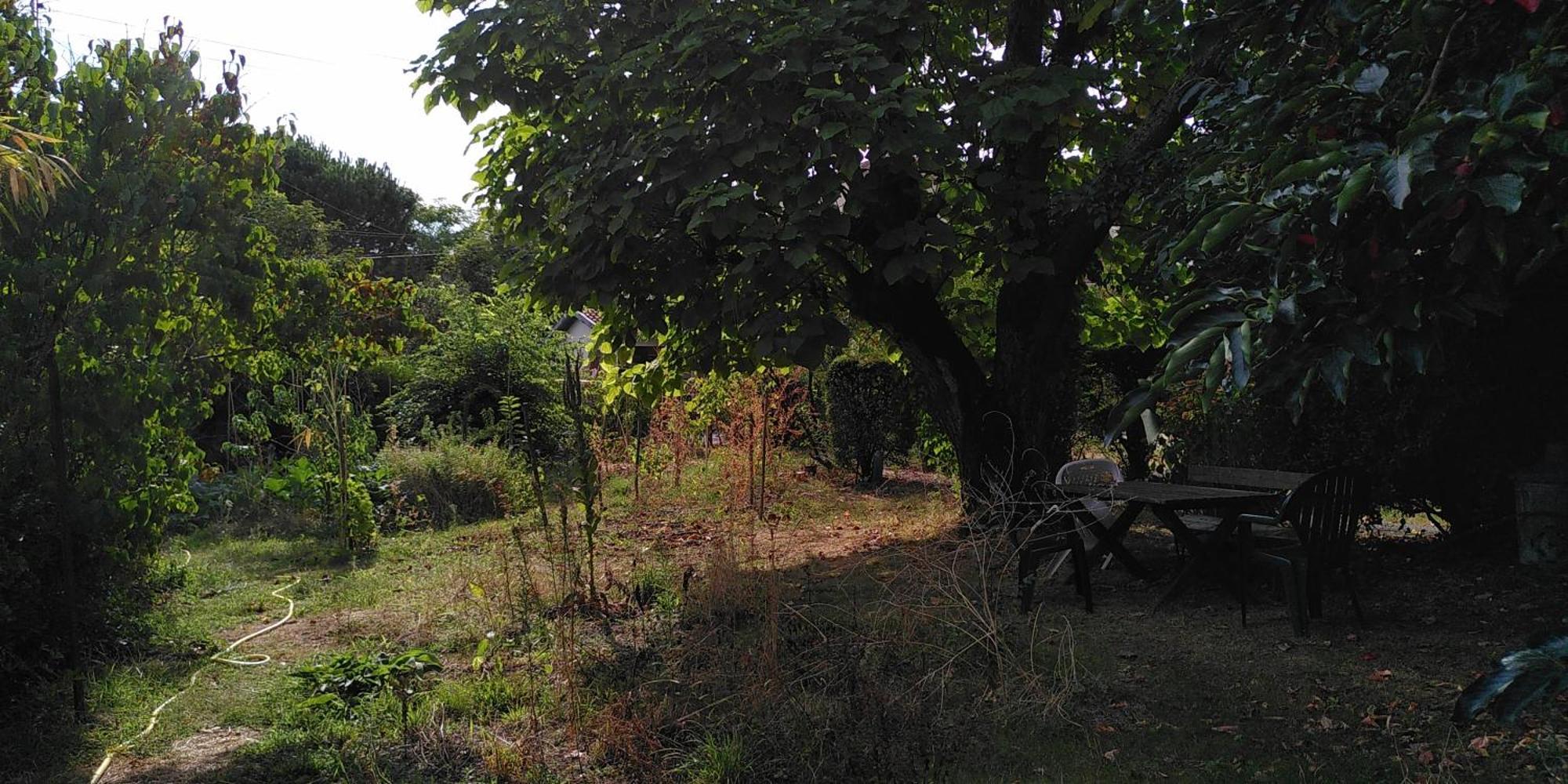 Villa Lulu Mérignac Kültér fotó